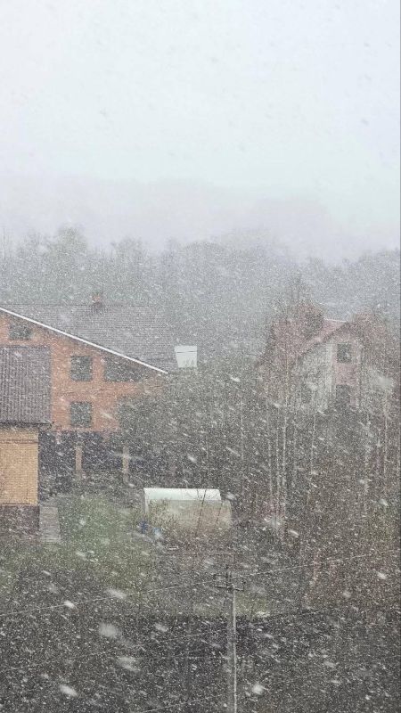 ˸���� ���� � ������ � ����������� ������� � ��������� ������