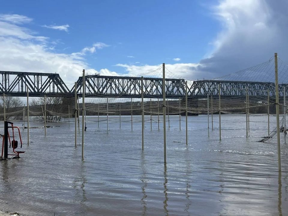 ���������� �������� � ��������� � �����