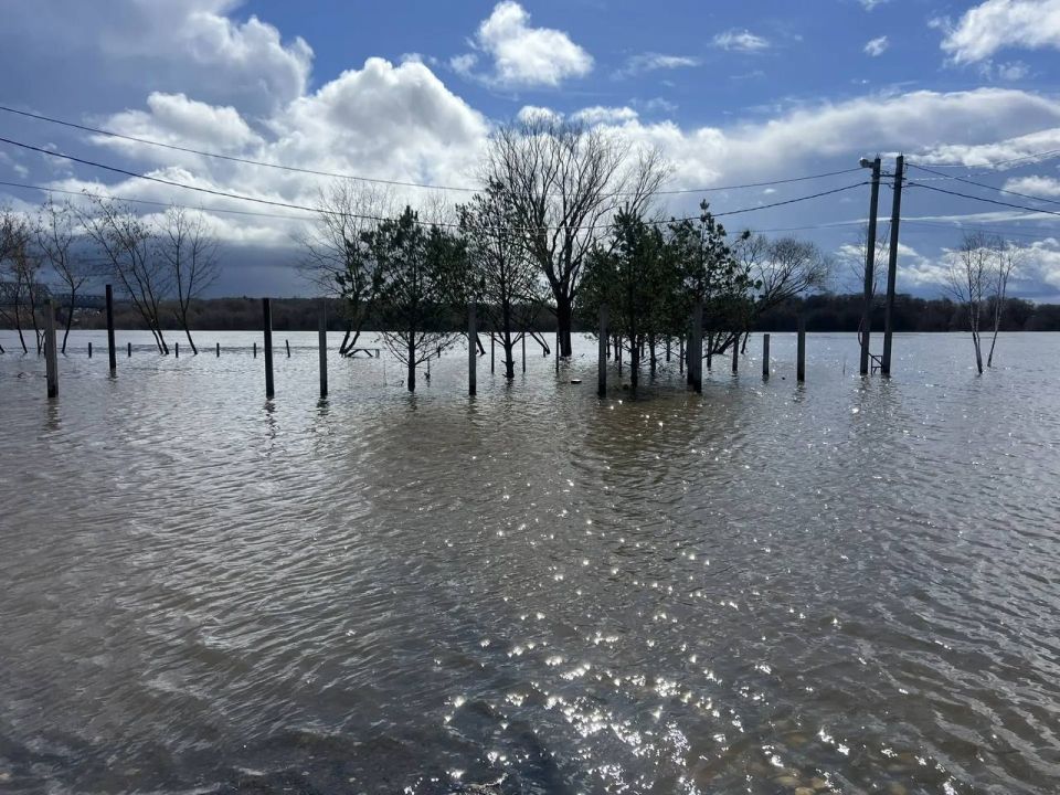 ���������� �������� � ��������� � �����