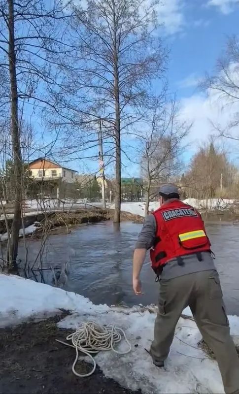 �� ����� ������������ ���������� ������ ����������� ���������� �������� ������� ���������, ������ ��������� ��������� ����������� �����������