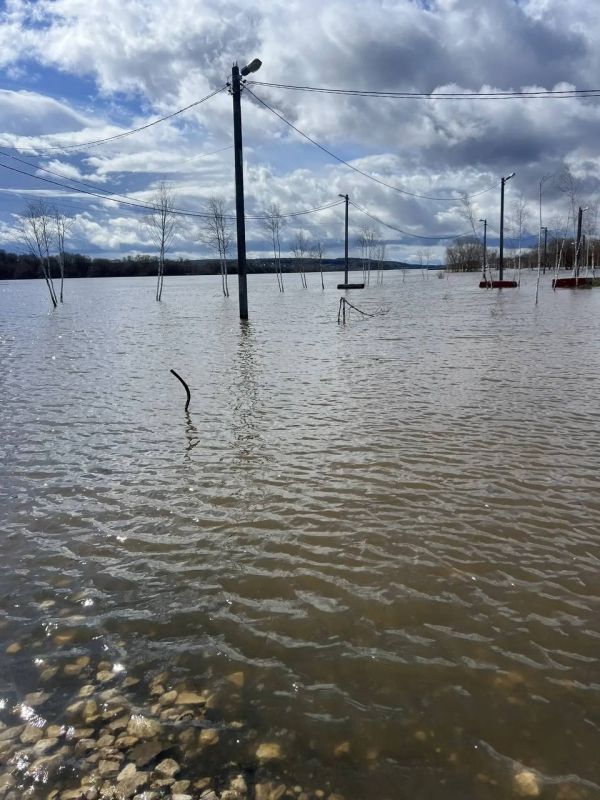 ���������� �������� � ��������� � �����