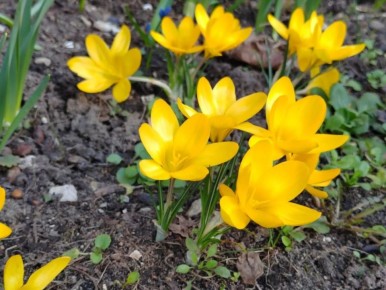 ������ ����, ��������! . ������� ���� ������ ���������� ����� �� +2�C, � ��������� ������� �����