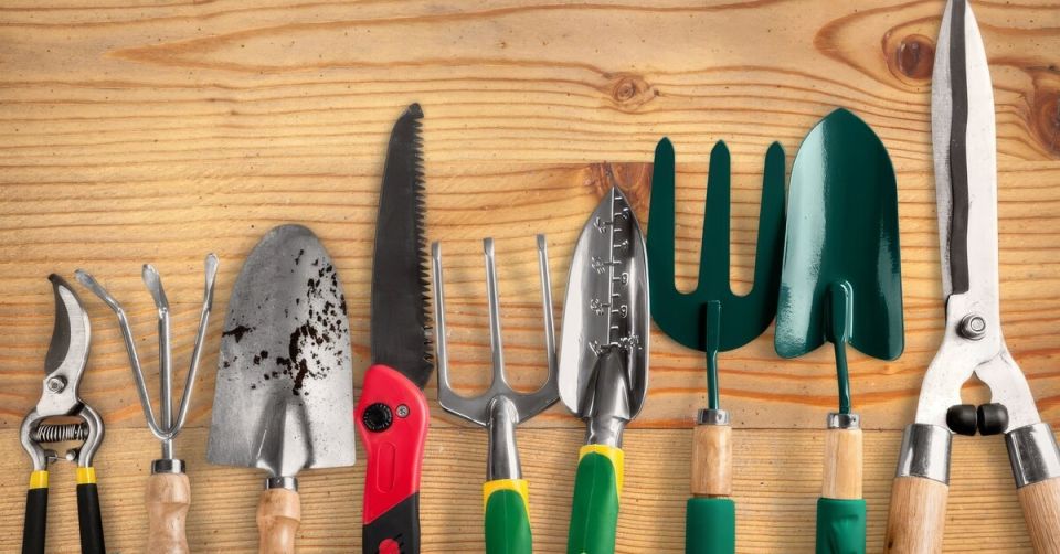 ��������� ������ �������: ��� ����� ��������