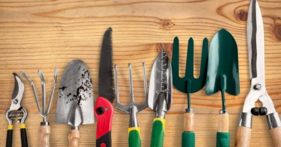 Неудачные дачные покупки: что стоит избегать