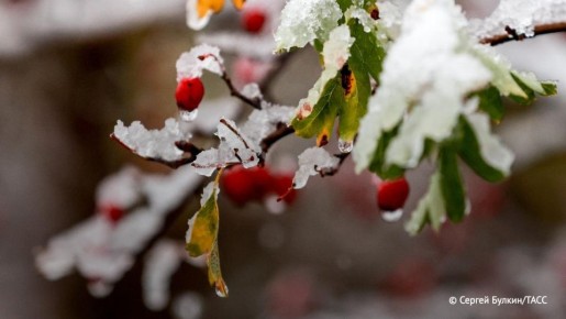 ���� � ��������� �� -2 �������� ��������� � ���������� ������� ����������� �����, �������� ���� � �������������� ��