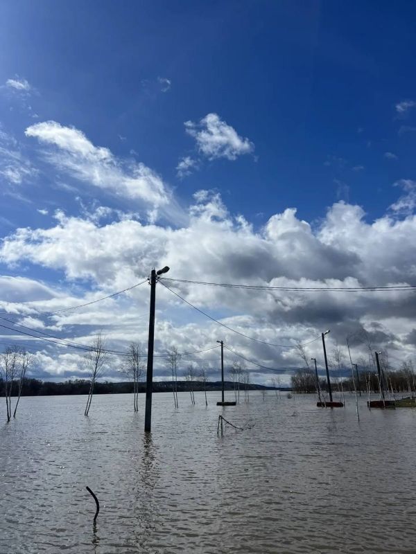 ���������� �������� � ��������� � �����