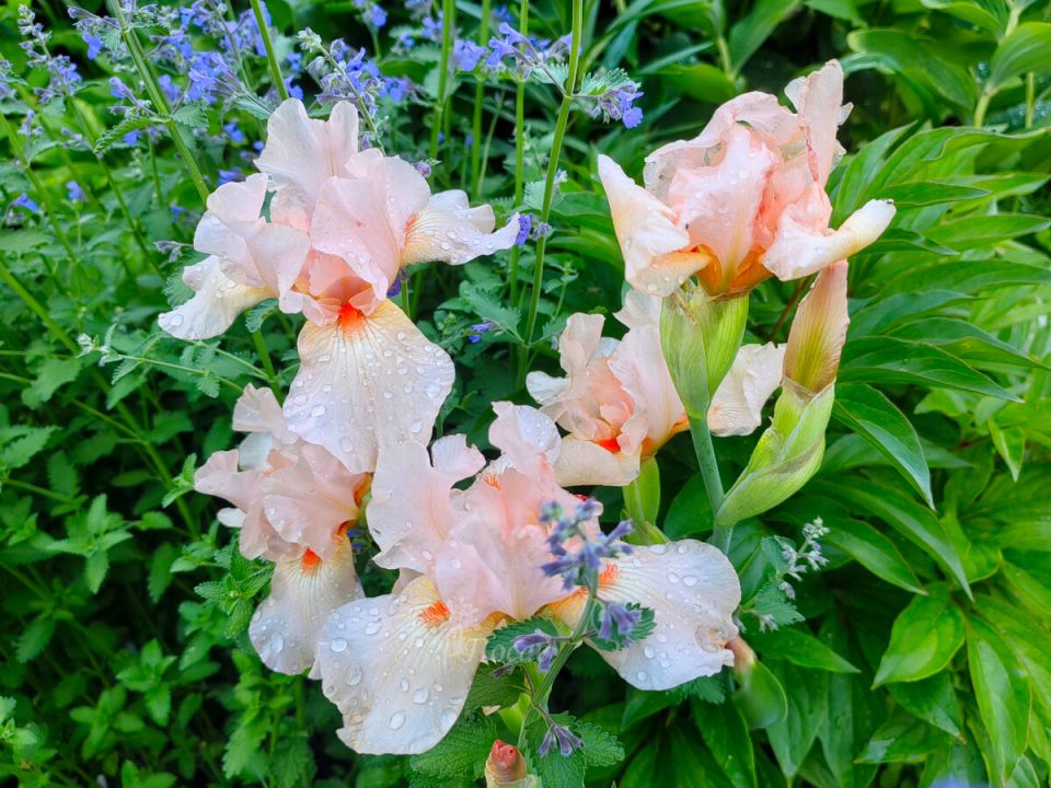 ��� ����� ����� ����� ���������� �������� � ����� ����