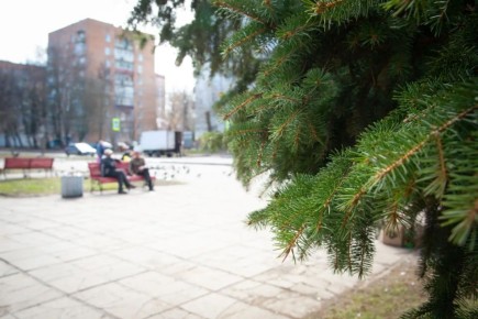 ��������� ��������������� �������� 800-����� ������� � ����� ����� ������� �������� � ��������