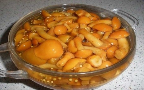 ������ ���������: ��� ��������� ���������� � ������ �������