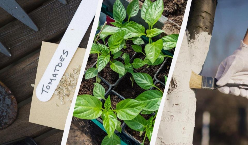 �������: ����� ���������� � ������� � ��������� �� �����