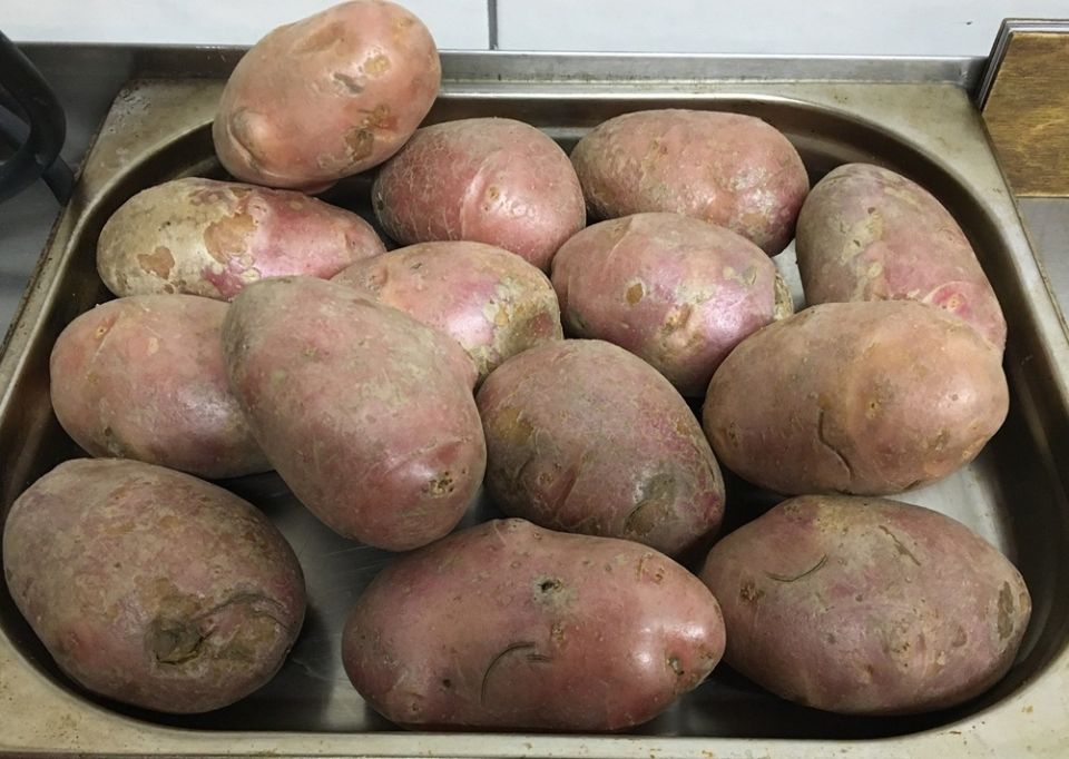 ��� ����� �������� �������� � �������: ������� � ��������