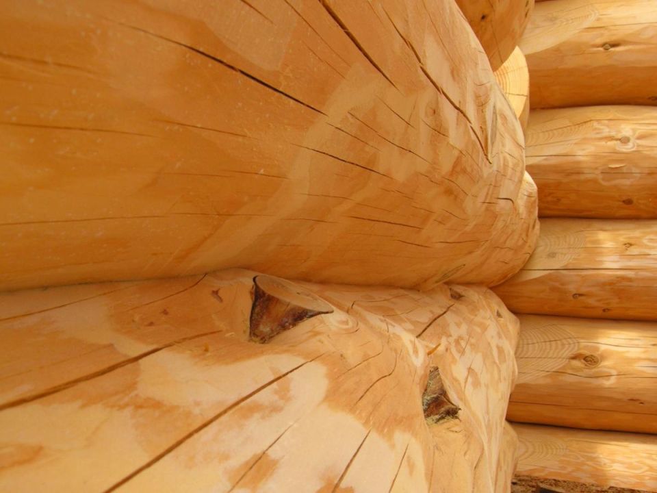 �������� ���������: ��� ����� �� ������� ����� ������� ������