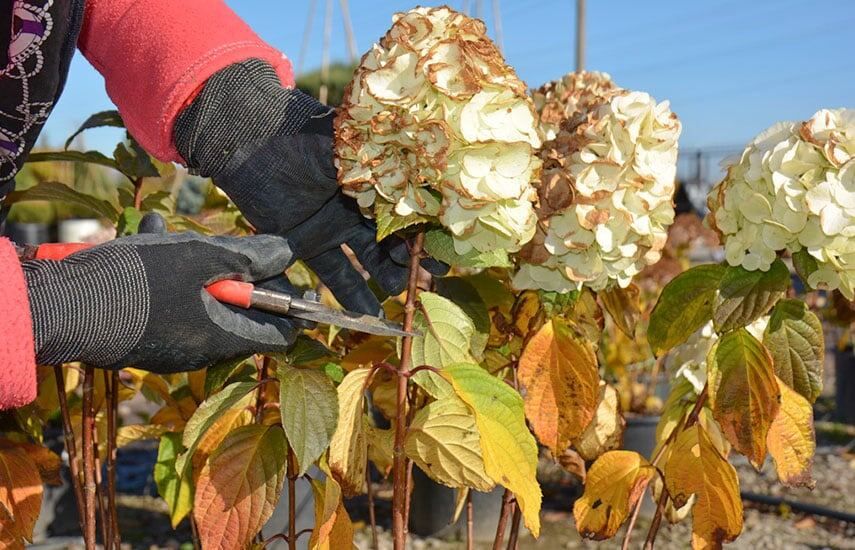 ��� ��������� �������� ��������� ������: ��� ������������� �����