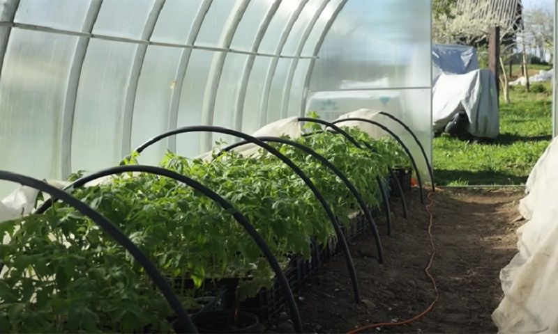 ��� �������� ������� ������� ��������� � �������������� ������� ���������