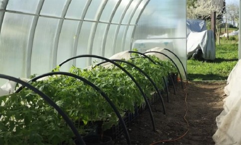 ��� �������� ������� ������� ��������� � �������������� ������� ���������