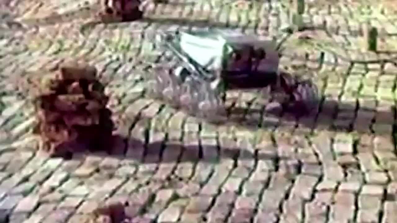 Вести Крым участвуют в телемарафоне «Русский космос»