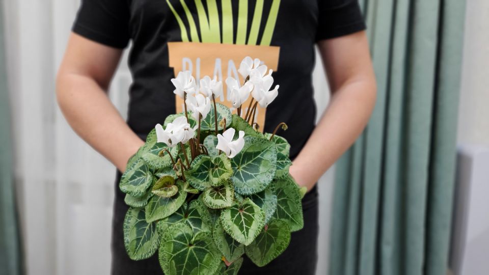 ��� ��������� ���������� ���������� �� ���������� ����� � ������