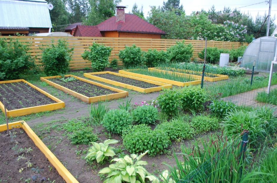 ��� ������ ����������� ������ �������: ������� ��������������� �� ���� ������