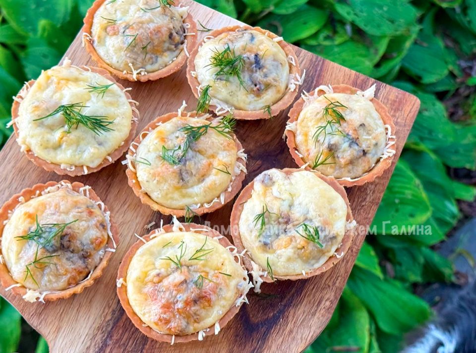 ������ � �����������: ��������� ������� ��� ������������ �����