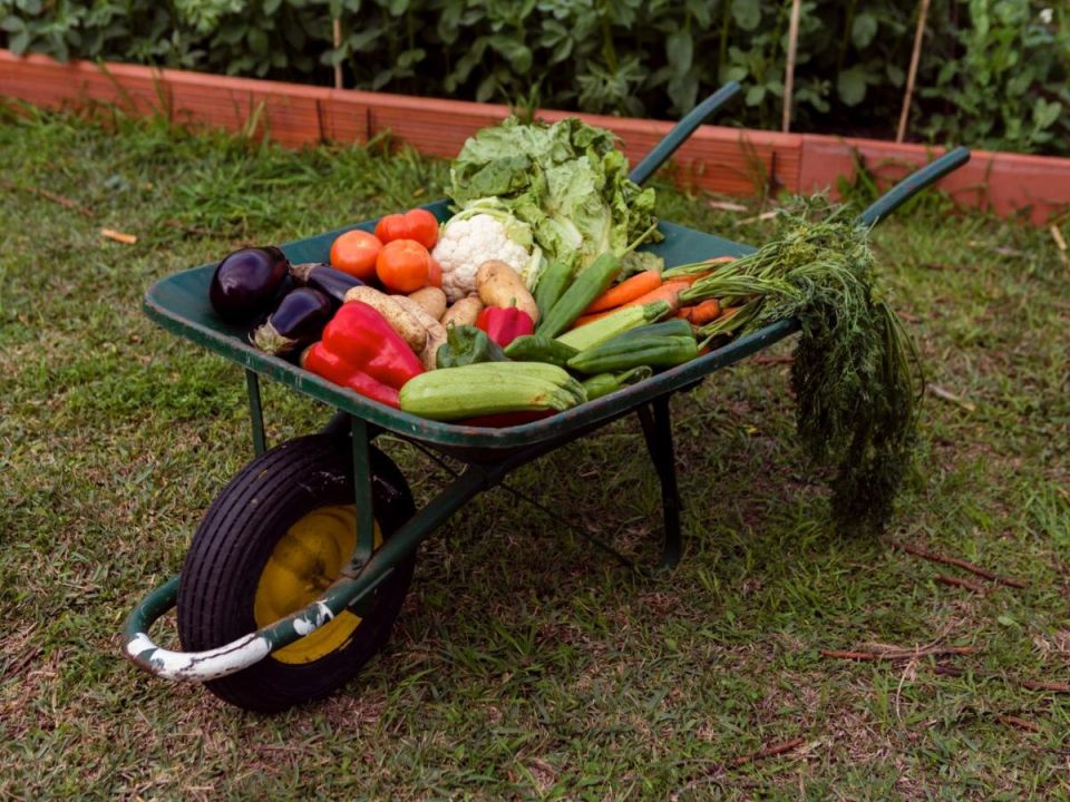 ��� ��������� ������: ������� ������ �� �������� � �������