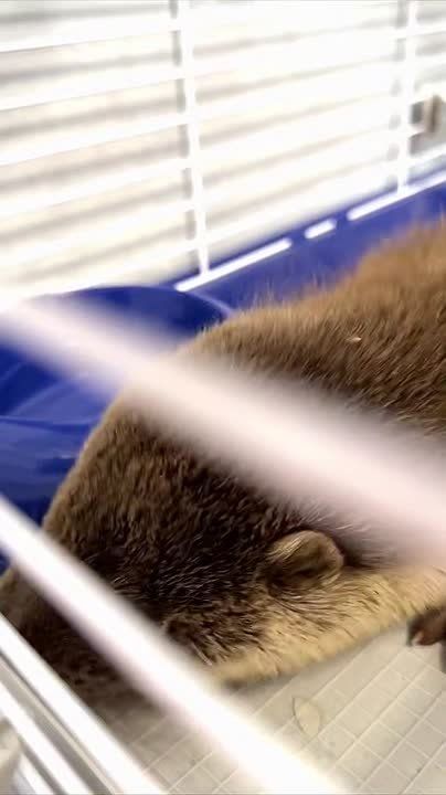 �������� � ��������� ������ ��������� �� ������������ � �����������