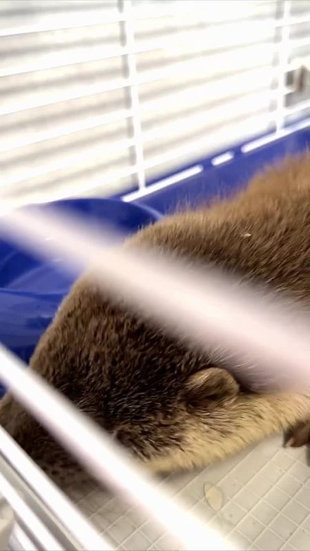 �������� � ��������� ������ ��������� � ����������� �� ������������