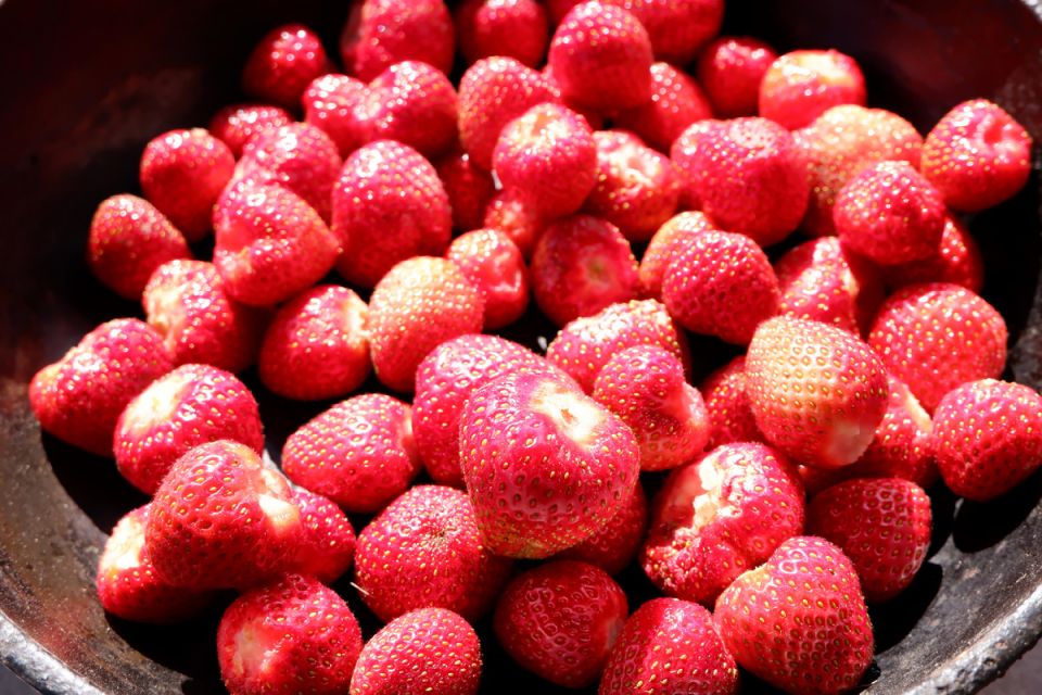 ��� ����������� ���������� ������� �� ����: ������� ������ � �������� ����