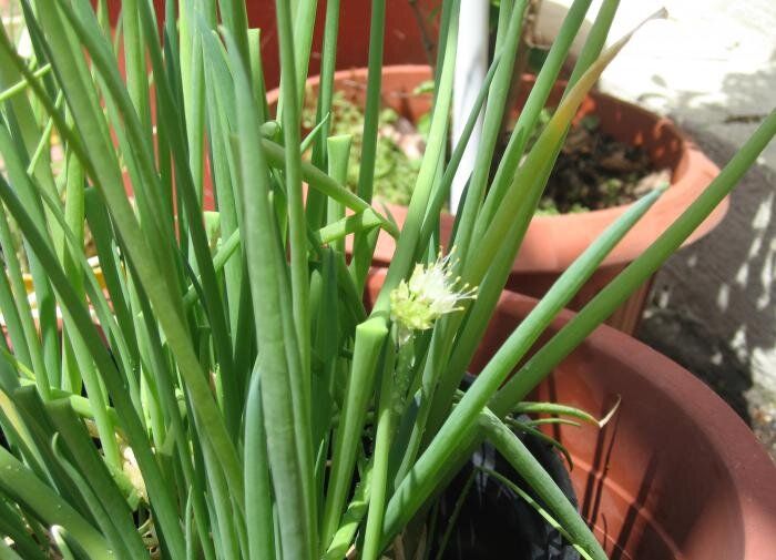 ��� ��������� ��������� ���: ������� ��������� ���������