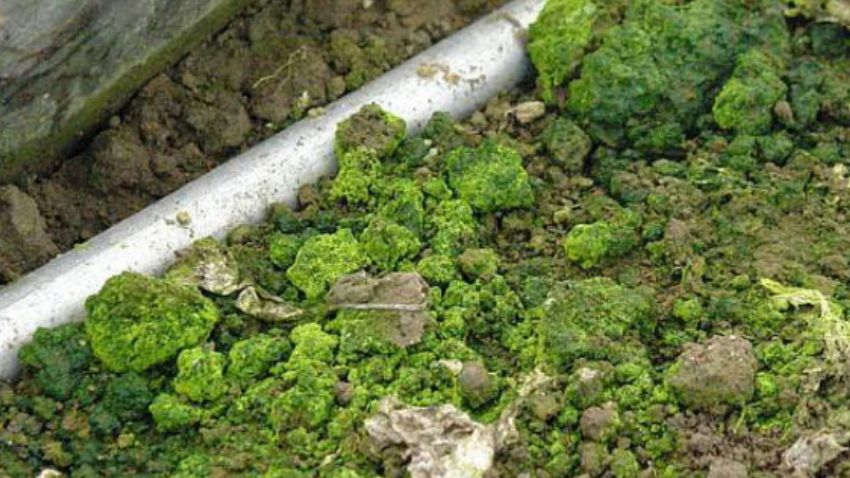 ����������� ������ � ���� � ������� ��� �����