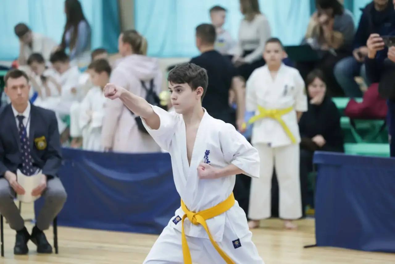 В Подольске состоялись региональные соревнования по киокусинкай в дисциплине «ката» В Подольске состоялись региональные соревнования по киокусинкай в дисциплине «ката»