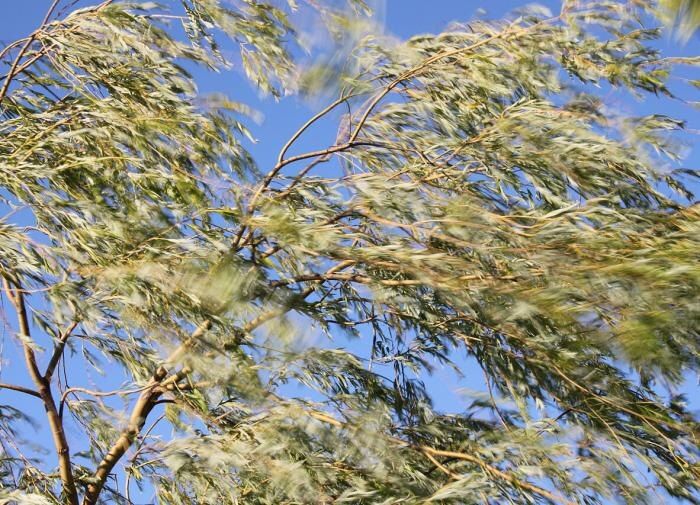 ��� ������������� � ������� �� ����: ������ ��������� �� ����������� ������