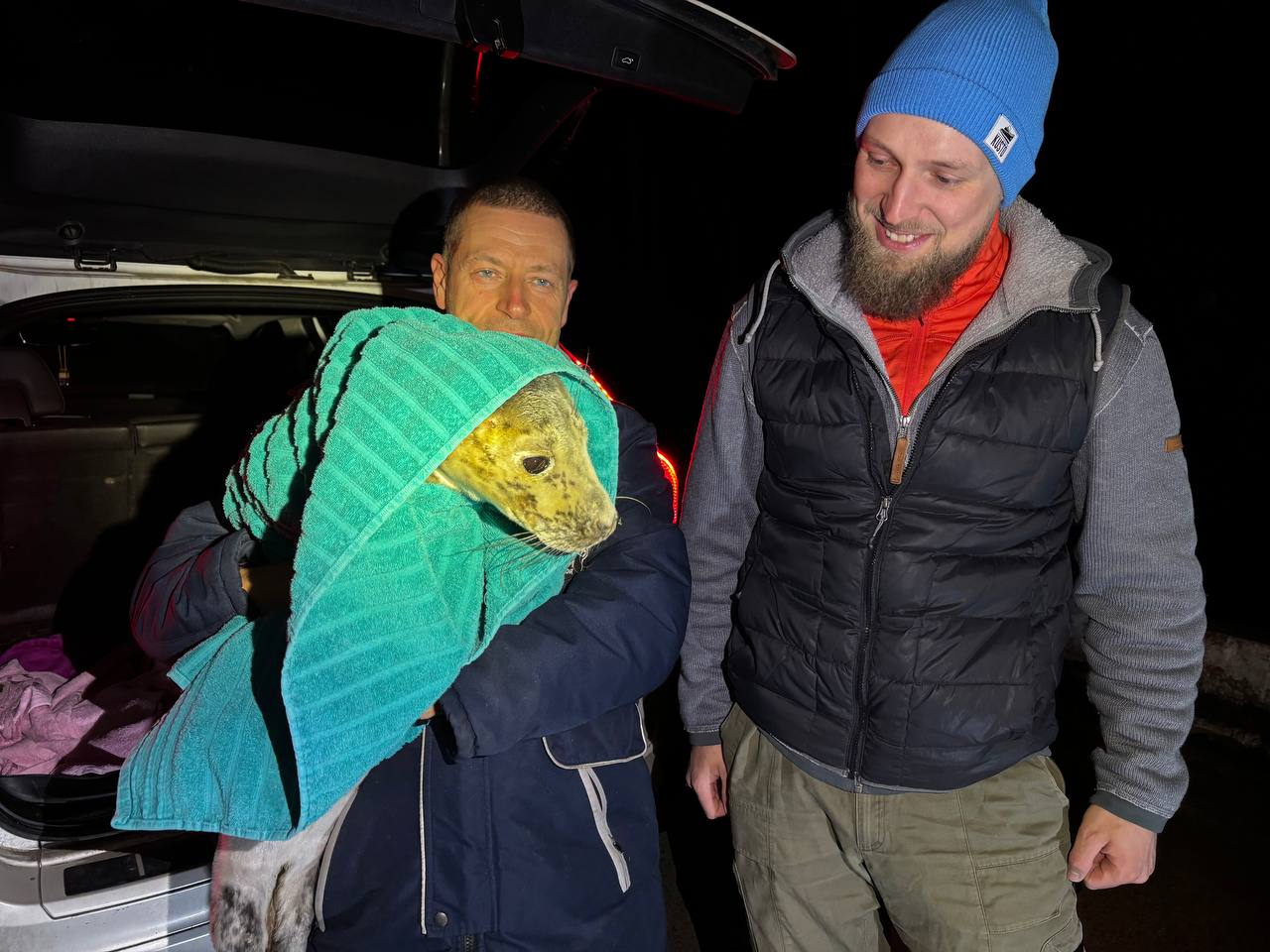 Детёныша тюленя спасли в Санкт-Петербурге Детёныша тюленя спасли в Санкт-Петербурге