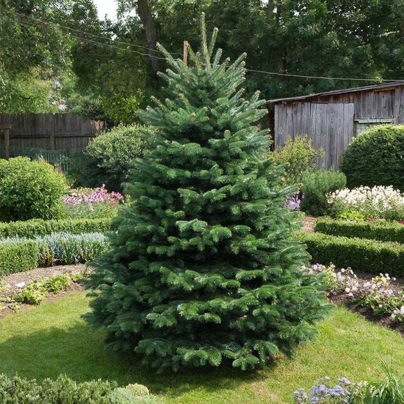 ��� ���� � ������ ������������ � ������ ��� ������ ����