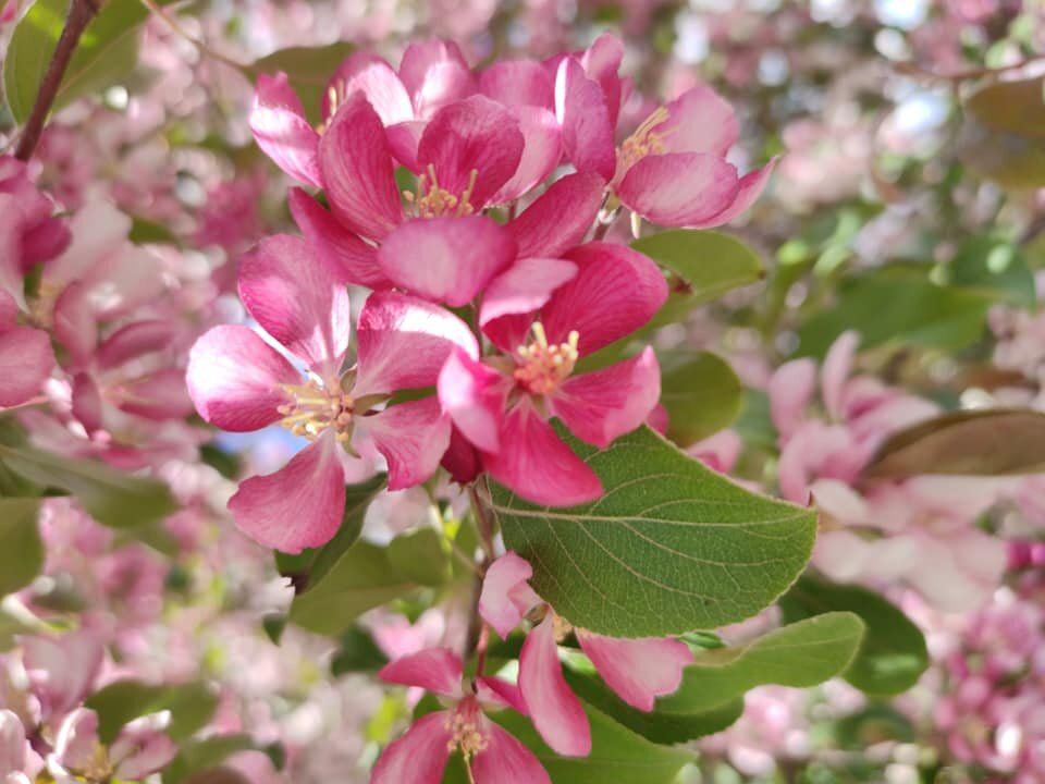 �������� ���� �� �����: �������� ������� ��� �������� ���������