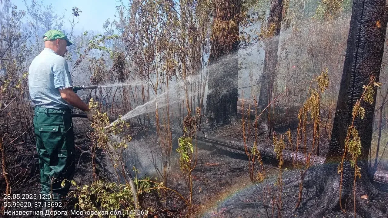 Константин Михальков: Готовность к пожароопасному сезону 2026: безопасность жителей — наш приоритет! Константин Михальков: Готовность к пожароопасному сезону 2026: безопасность жителей — наш приоритет!