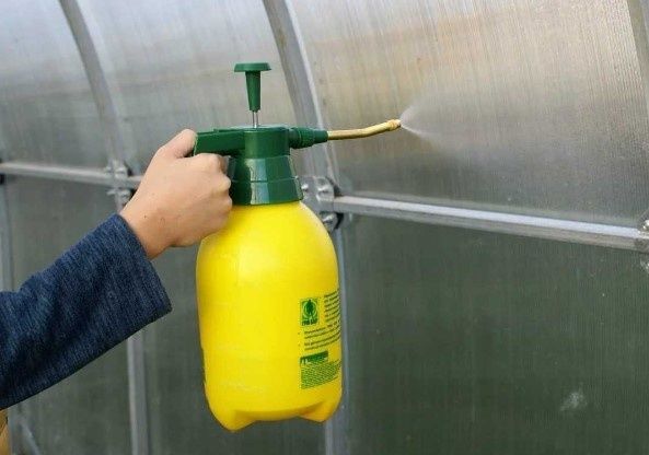 ������� ��������� �������: ��� ����������� ������� � ���������� ������