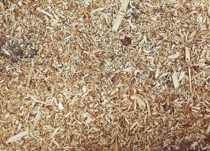 ������������� ��������: ��� �������� �������� �������� � �������� ������� ������