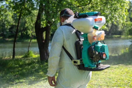 � ������� �������� ��������� ������������ ����������� �� ������