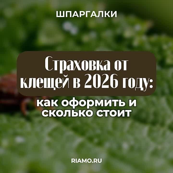 ������� ����� ��������� �� ������ � 2026 ���� � ����� �������� �� ����������, ������� � ��������� �����