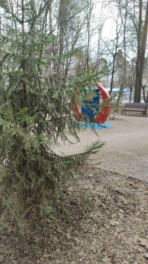 С 2013 года в Московской области по инициативе губернатора Андрея Воробьёва ежегодно проводится эколого-патриотическая акция «Лес Победы»