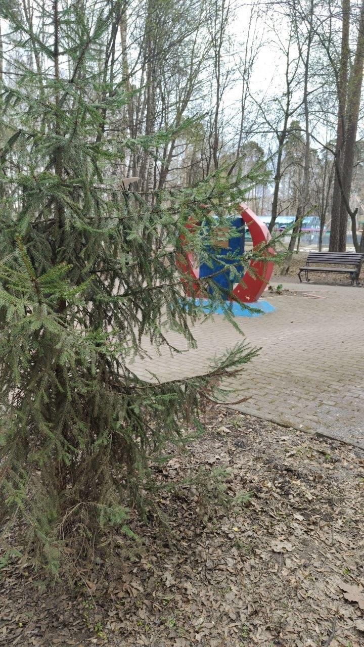 С 2013 года в Московской области по инициативе губернатора Андрея Воробьёва ежегодно проводится эколого-патриотическая акция «Лес Победы»