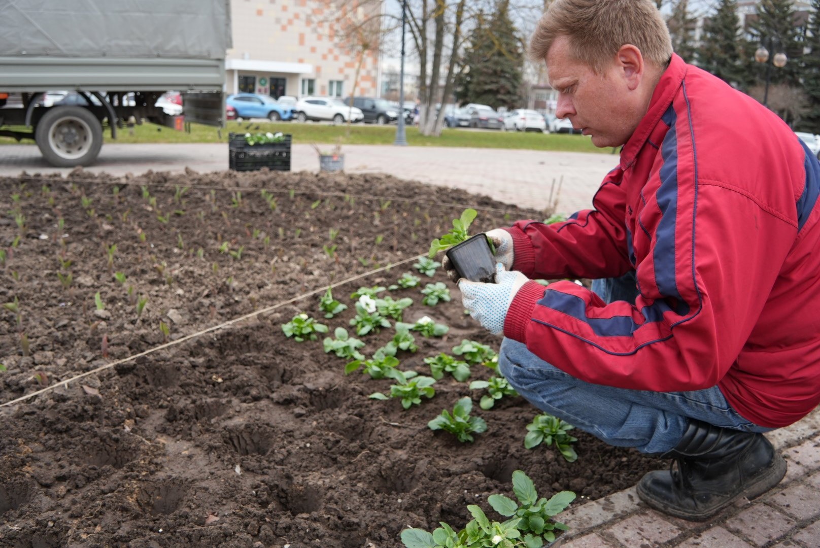 Стартовал сезон весеннего озеленения Стартовал сезон весеннего озеленения