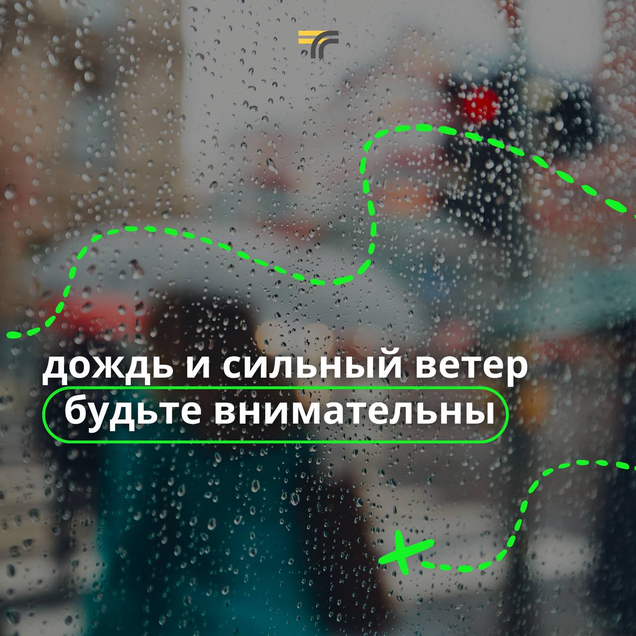 Сегодня погода не очень радует Московский регион: сильные порывы ветра, а в некоторых округах идёт дождь