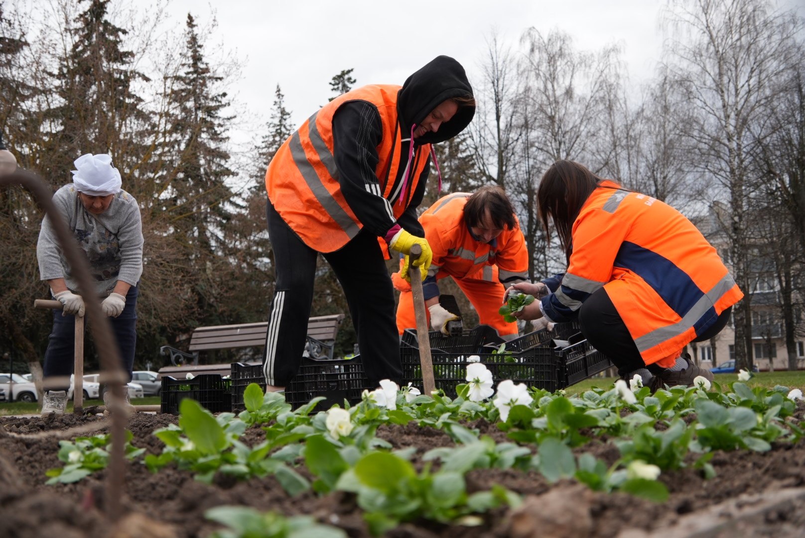 Стартовал сезон весеннего озеленения Стартовал сезон весеннего озеленения