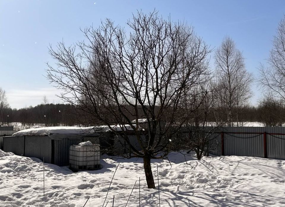 ��� ����������� ��� � �����: ������ � ������� ����������� ���������