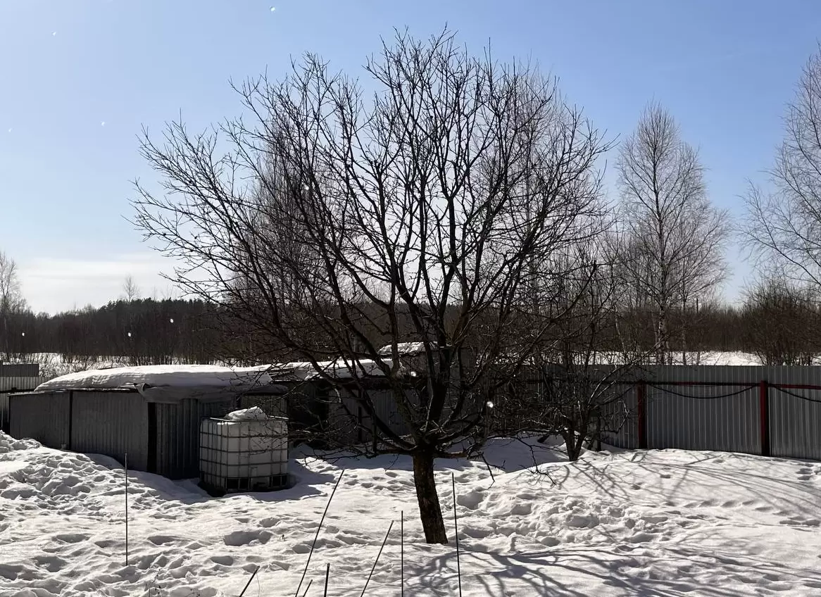 Как подготовить сад к весне: советы и секреты эффективной обработки