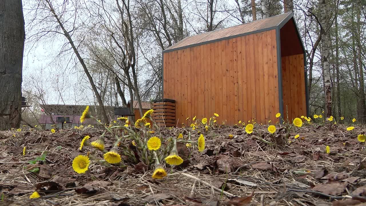 Городские службы Реутова готовы к пожароопасному сезону