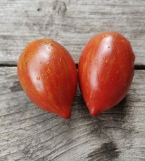 ����� ����� ����: ������� ��� ������������� ������� � ����������������