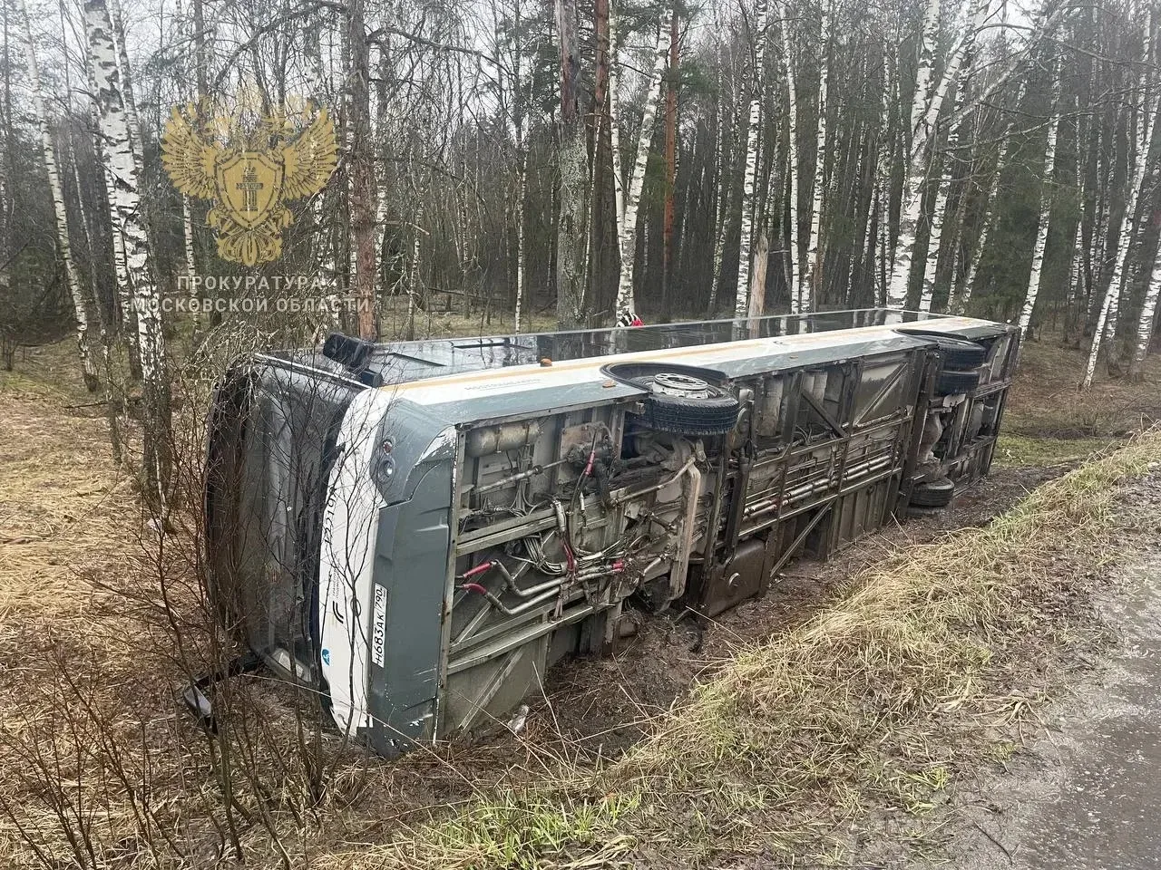 Ногинская городская прокуратура взяла под контроль установление обстоятельств ДТП с рейсовым автобусом в городском округе Богородский Ногинская городская прокуратура взяла под контроль установление обстоятельств ДТП с рейсовым автобусом в городском округе Богородский