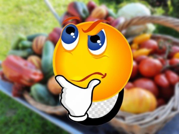 ��� ������������ �������� � ������������ ����� �������� ������ �� ��������